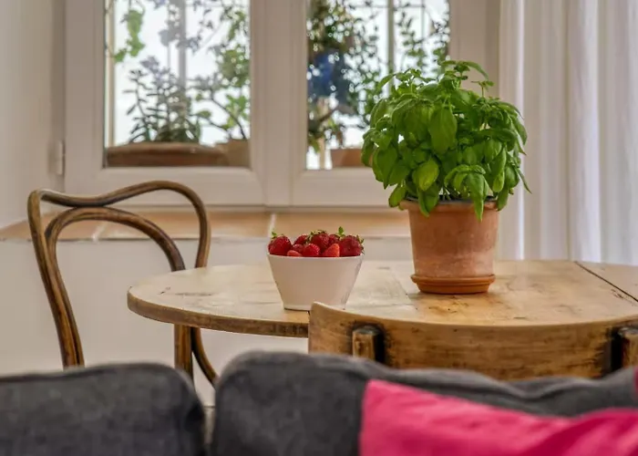 L'orme Antibois - En Plein Coeur Du Vieil Antibes